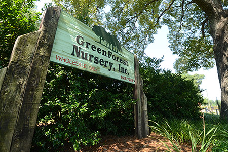 Green Forest Nursery, Inc.